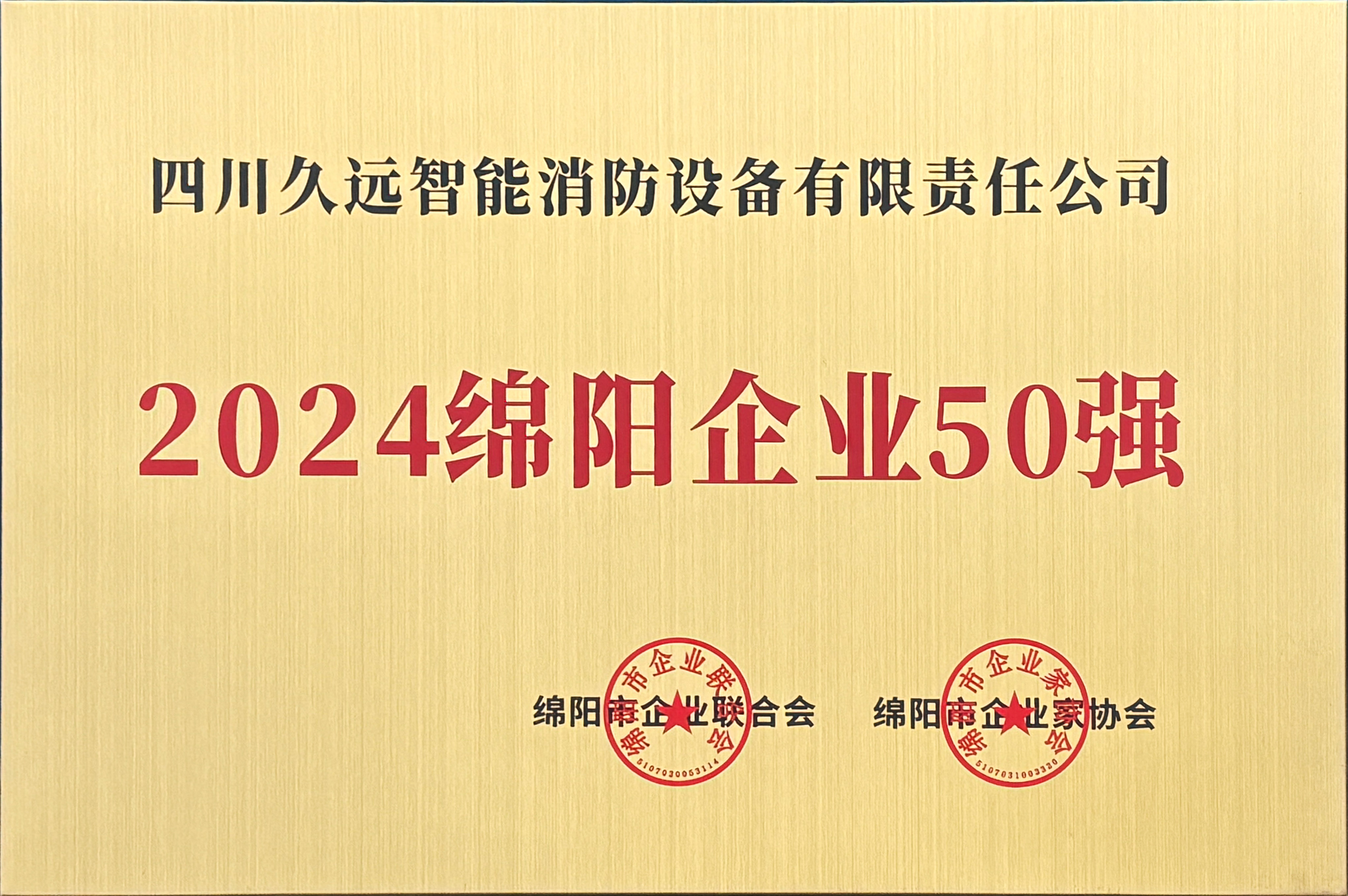 2024绵阳企业50强
